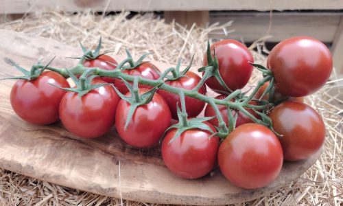 BABKUS schwarze Cherry Tomate